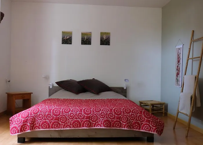 Appartement De Plein Pied Toulouse Nord