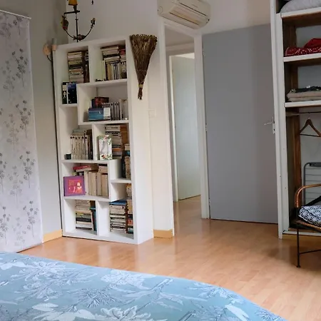 Appartement De Plein Pied Toulouse Nord Castelginest Extérieur photo